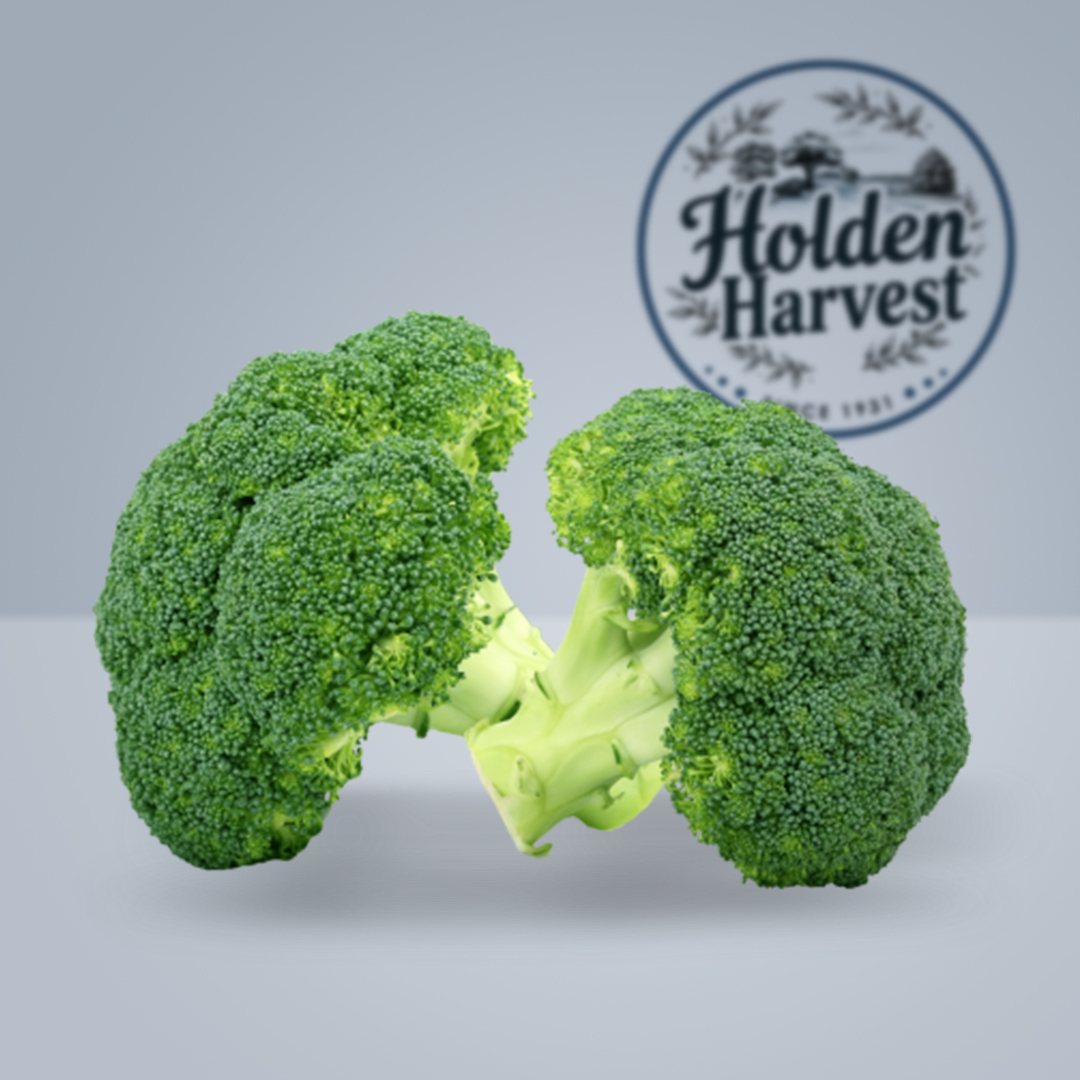 Broccoli 